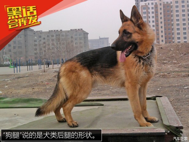 汽车之家