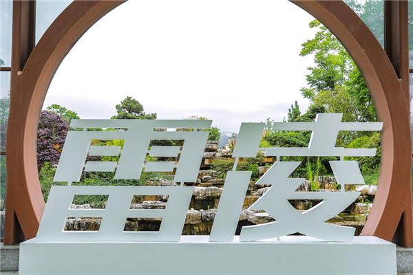 雷凌4.jpg